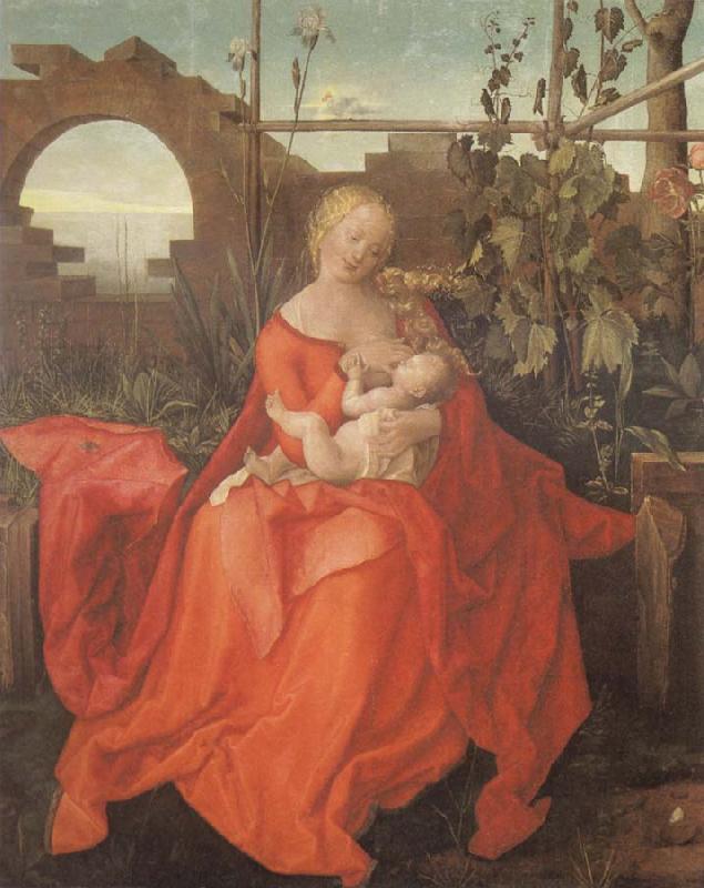 Albrecht Durer The Madonna with the Iris imitator of Albrecht Durer oil painting picture